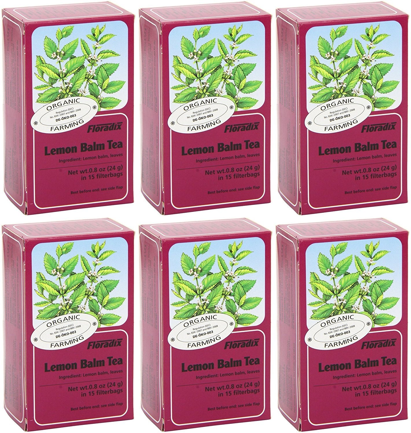 Floradix Lemon Balm Organic Herbal Tea 15 Bag (Pack of 6)