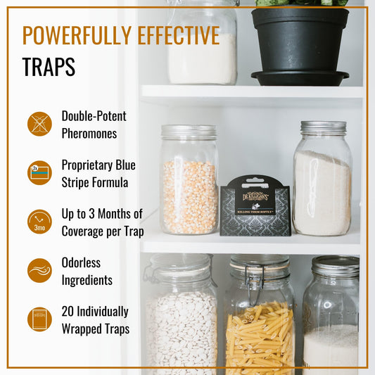 Dr. Killigan's Premium Pantry Moth Traps with Pheromones Prime | Safe, Non-Toxic with No Insecticides | Sticky Glue Trap for Food and Cupboard Moths