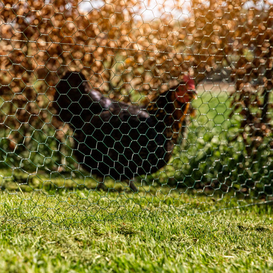 Windhager Hexagonal wicker, plastic-coated, fencing basic border, vole protection, raised bed, gutter cover, green, mesh size 13 mm, 10 x 1 m x 1 mm,