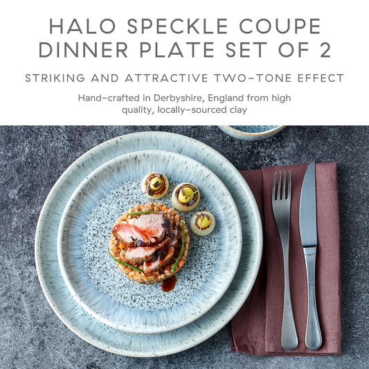 Denby - Halo Speckle Dinner Plates Set of 2 - Grey, Neutral Patterned Coupe Dishwasher Microwave Safe Crockery 26cm - Glazed Ceramic Stoneware