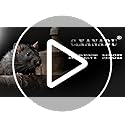 C&Xanadu 100mm X 6m Wire Mesh Roll,Rodent Proofing Metal Mesh Galvanised,Welded Steel Mesh Panels Stop & Prevent Rat & Mouse Access