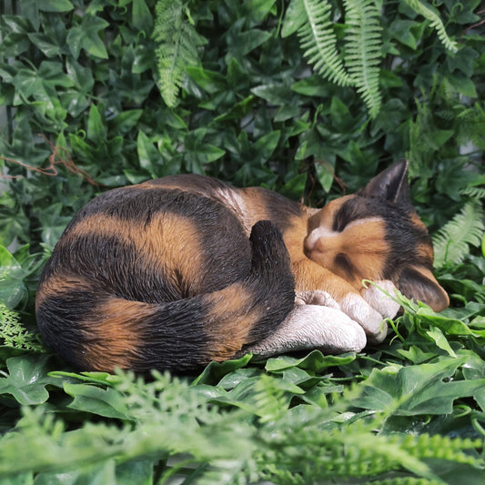 Vivid Arts Real Life Sleeping Cat Tortoiseshell XRL-ZC32-B