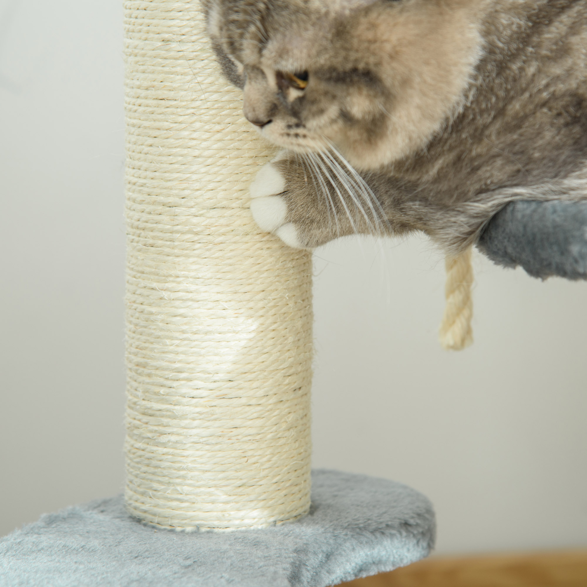 Cat Tree Scratcher Kitty Activity Play Center Post 2 Perch w/ Hanging Sisal Rope