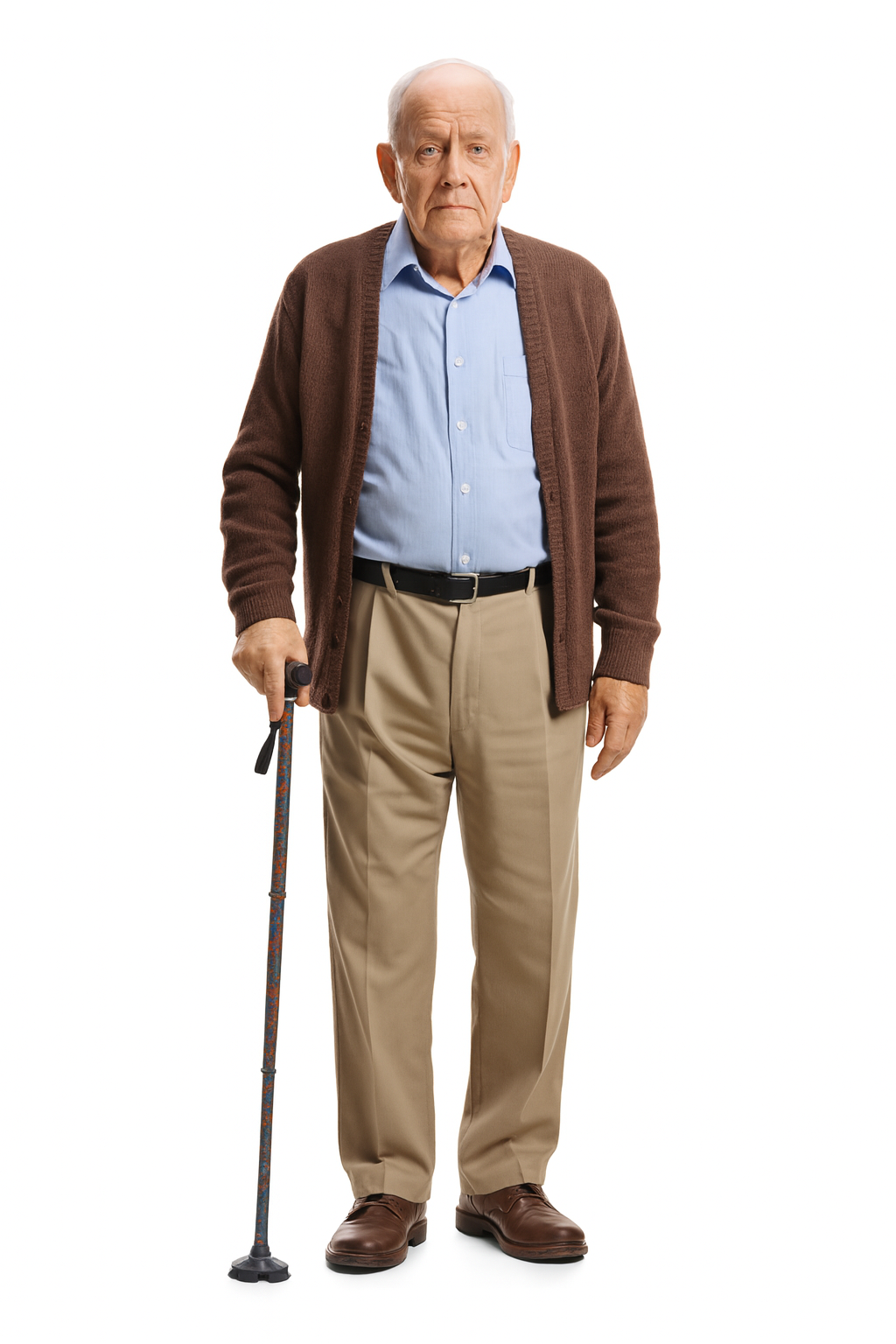 Paisley Walking Cane