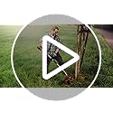 Einhell Power X-Change 36V Cordless Strimmer - 30cm Cutting Width, Cordless Grass Trimmer and Lawn Edger With Auto Line-Feed - GE-CT 36/30 Li E Solo Garden Strimmer Cordless (Battery Not Included)