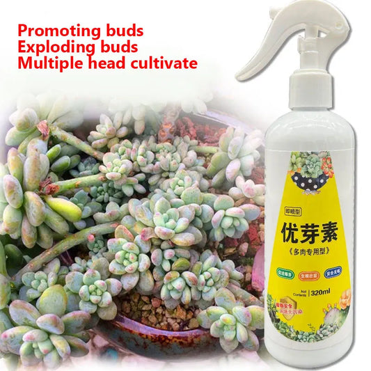 NEW Succulent Plant Eugenin Promotes Budding, Dwarf Fat, Prevents Leggy Organic Granules 320ml
