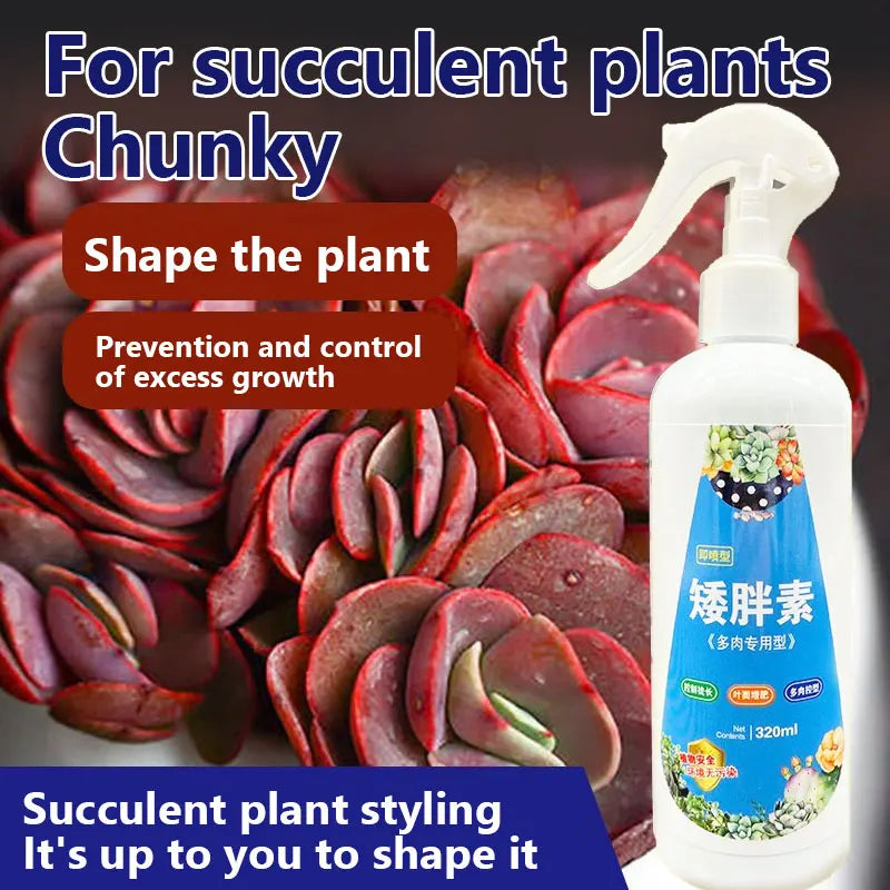 NEW Succulent Plant Eugenin Promotes Budding, Dwarf Fat, Prevents Leggy Organic Granules 320ml