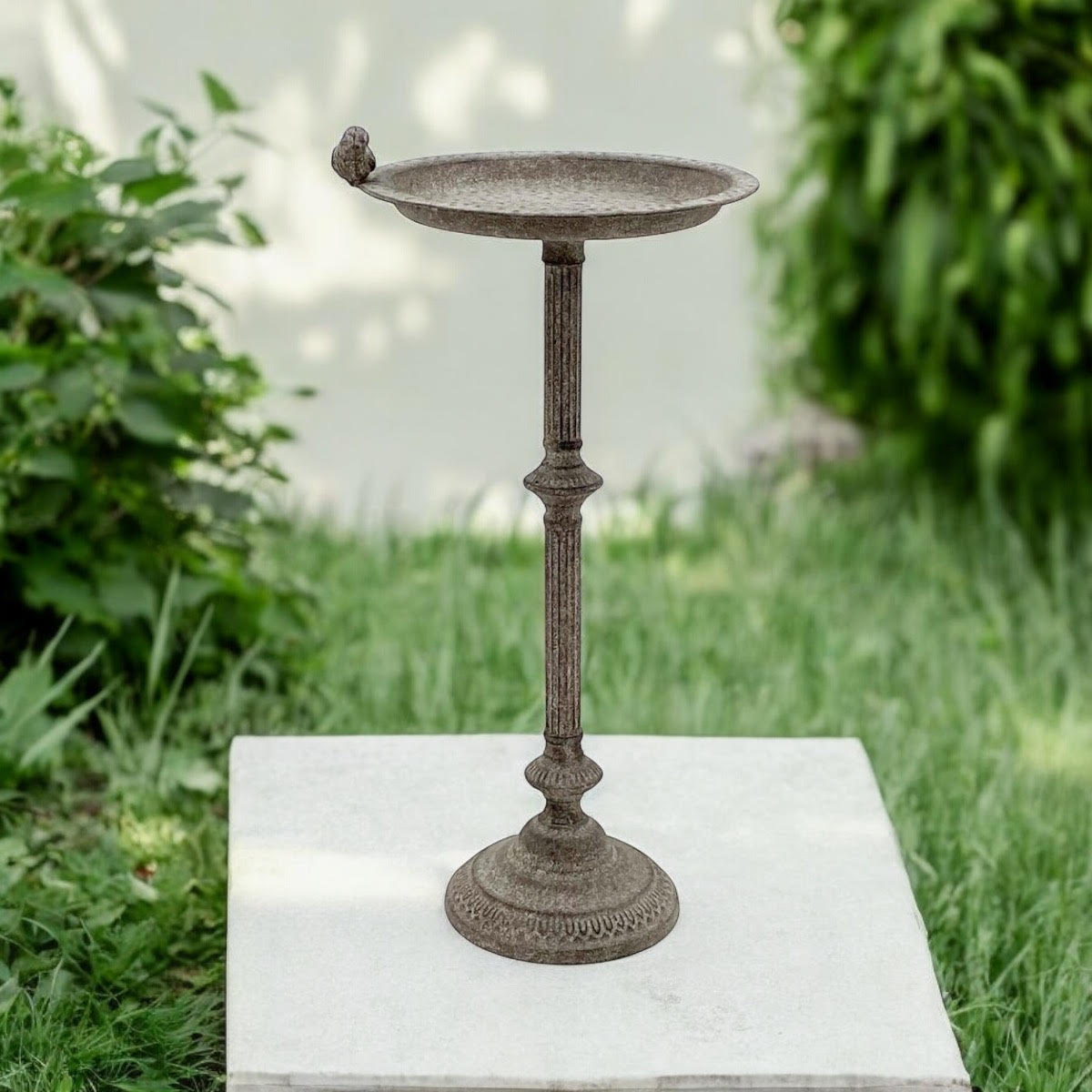 Antique Iron Metal Feeder Birdbath with Hand-Finished Distressed Design - Stylish Outdoor Décor for Bird Lovers with Standalone Garden Ornament and Feeder Bowl & Stand (Stand Design - 65cm)
