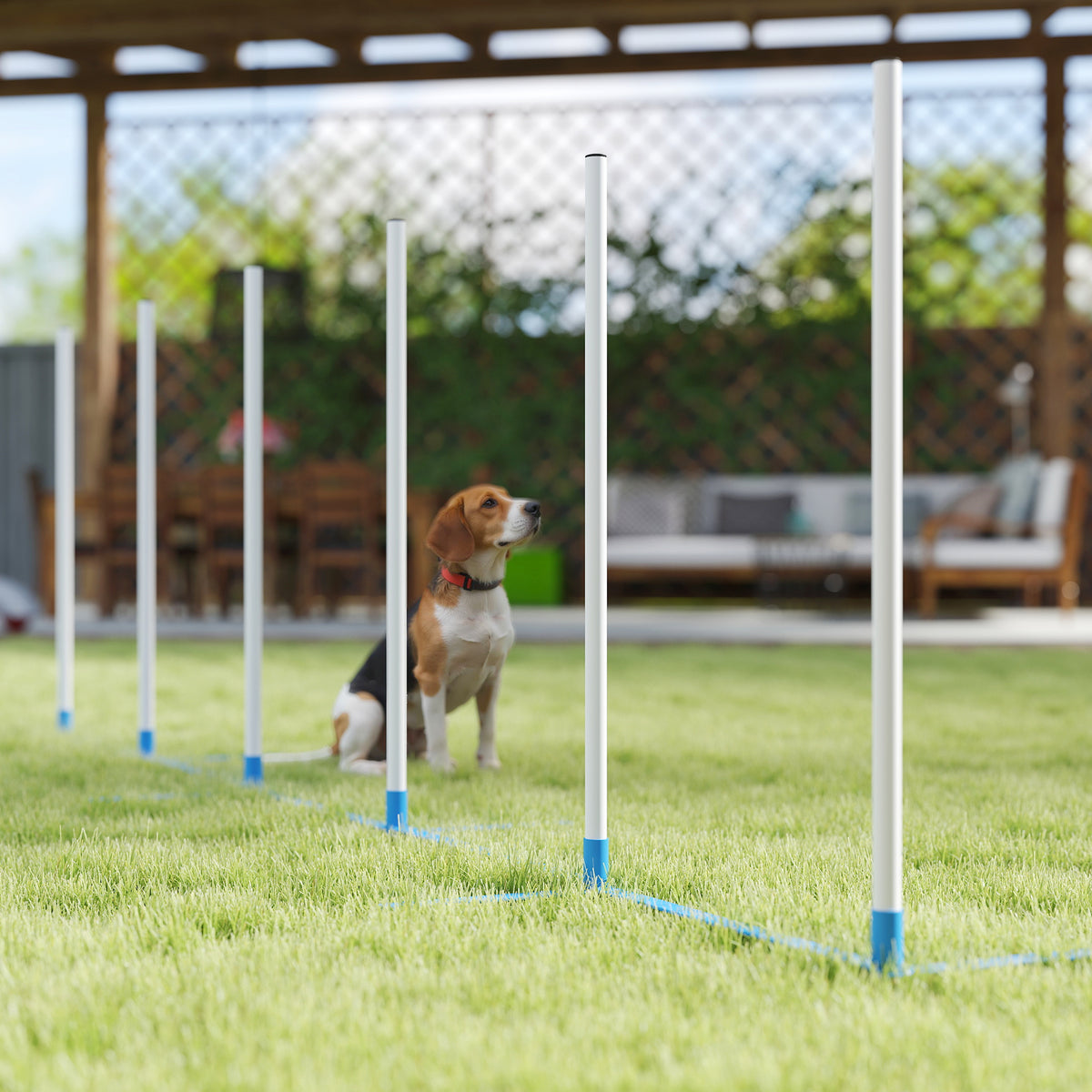 PawHut Dog Agility Equipment Training Adjustable Obstacle Course Set with 6 Weaves Poles Storage Bag for Pet Outdoor Games Exercise