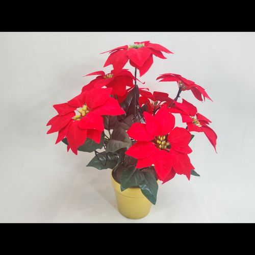 LED Poinsettia In A Pot