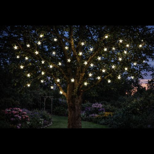 String Star Solar Lights (set of 50)