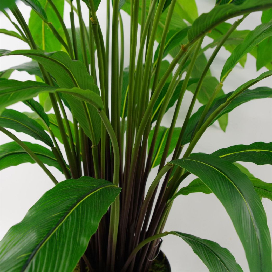 90cm Artificial Calathea Plant Dark Green