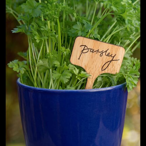 Plant Sign with a Pen Set of 50