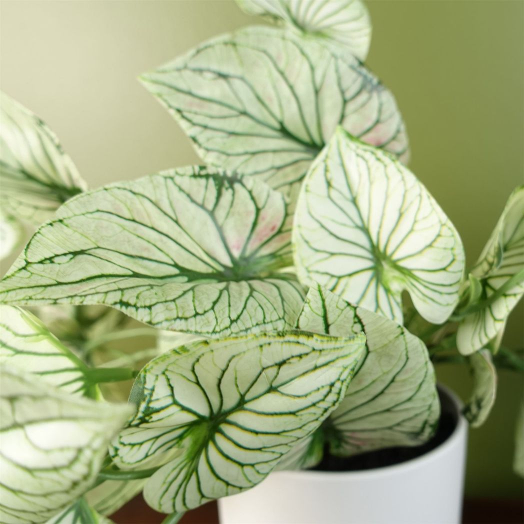 30cm Artificial Trailing Plant Realistic Variegated Potted Alocasia