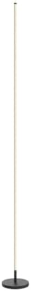 TACAHE Minimalist Corner Floor Lamp - 2700K-6500K Dimmable LED Night Light - Modern Standing Mood Lamp with Remote Control for Living Room, Bedroom - 57" 12W - Black
