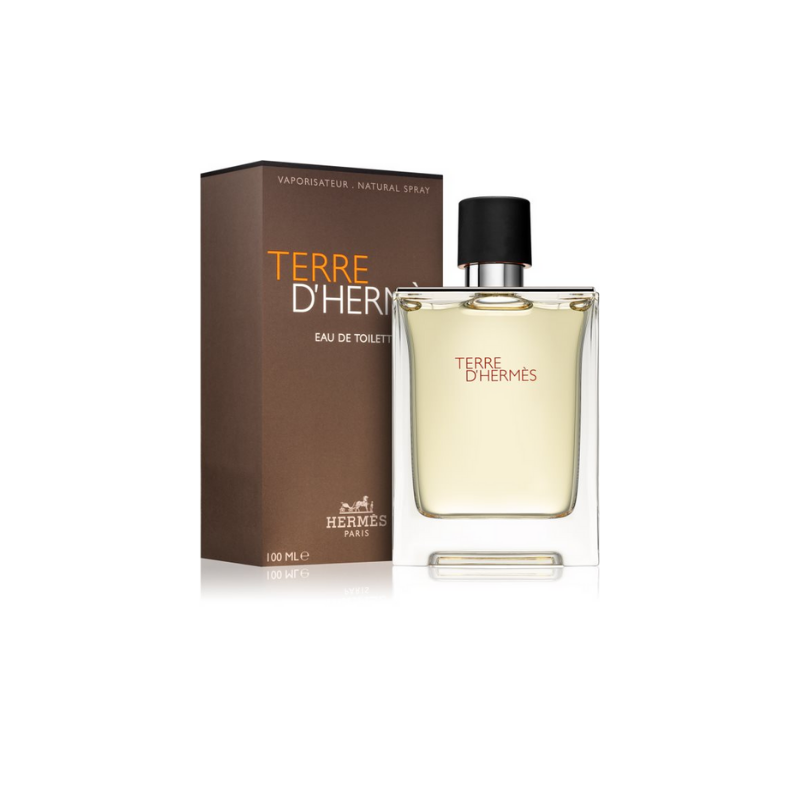Hermes Terre D'hermes Eau De Toilette Spray 100ml