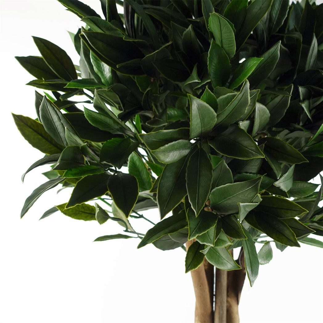 120cm Bay Tree Laurel UV Resistant Outdoor Topiary