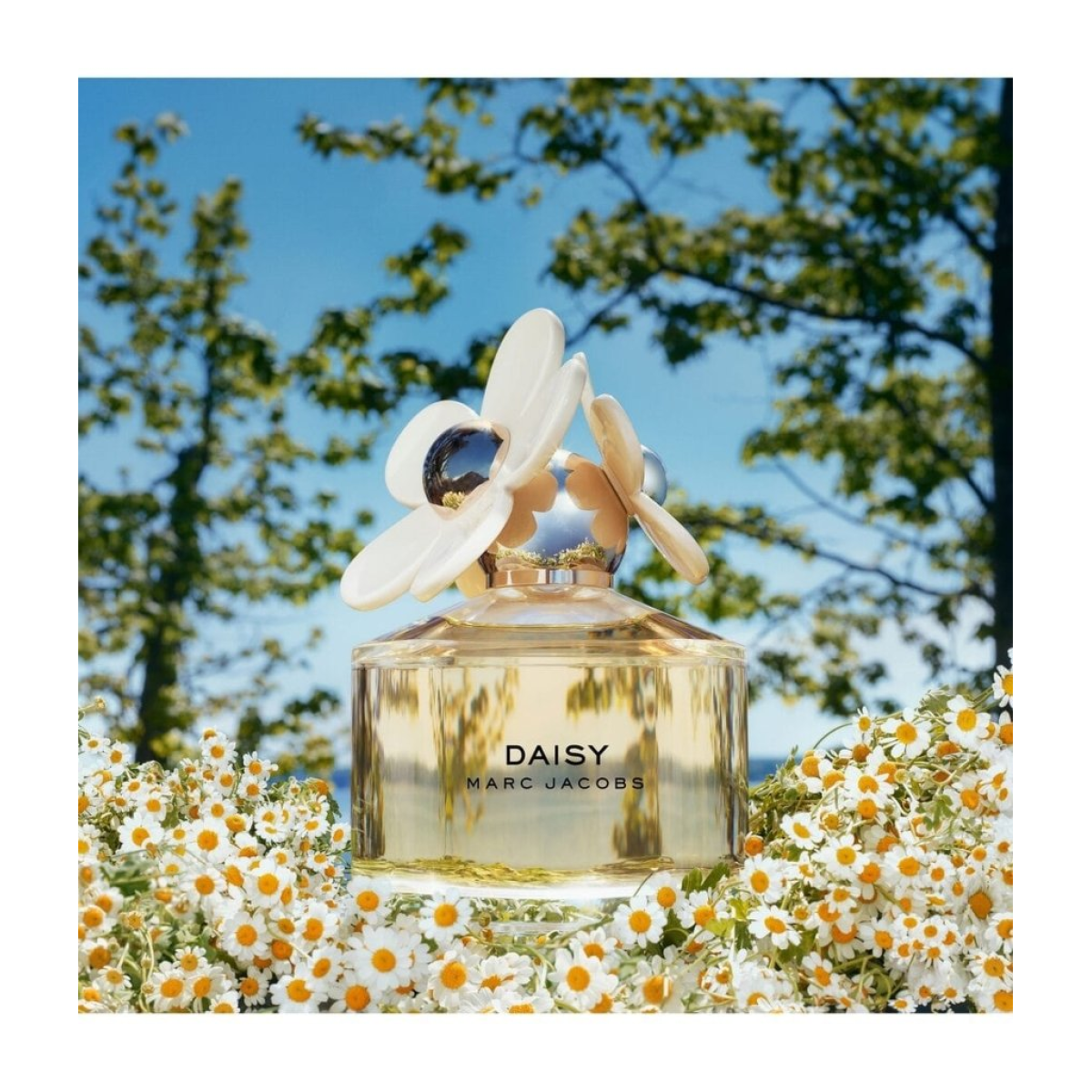 Marc Jacobs Daisy Eau De Toilette Spray 30ml