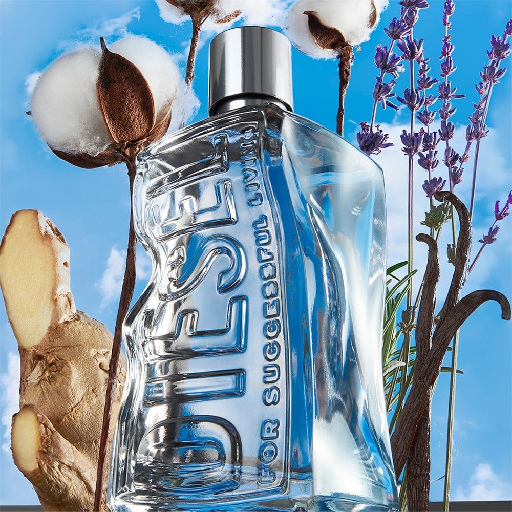 Diesel D  Eau De Toilette Spray 50ml
