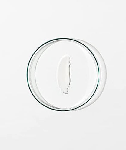 Grown Alchemist Skin Renewal Day Face Cream - Luxury Daily Moisturising Cream - Hydrating Face Moisturiser with Niacinamide, Echinacea and Reishi Mushroom for Barrier Protection, Anti Aging - 65 ml