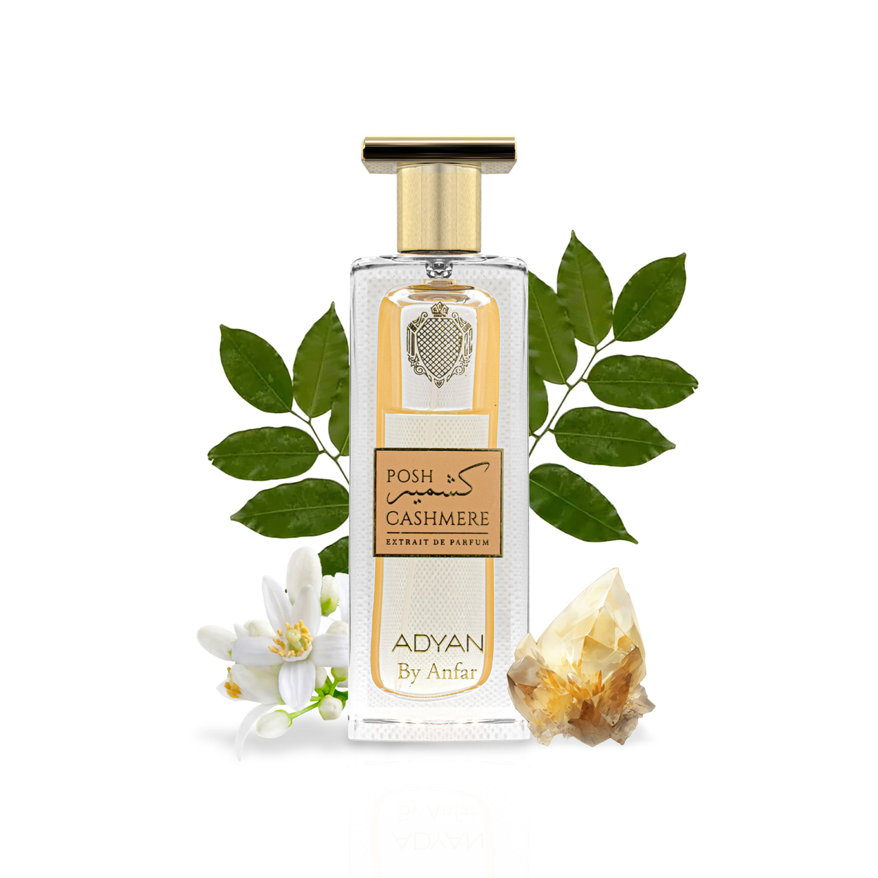POSH CASHMERE BY ADYAN 100ml