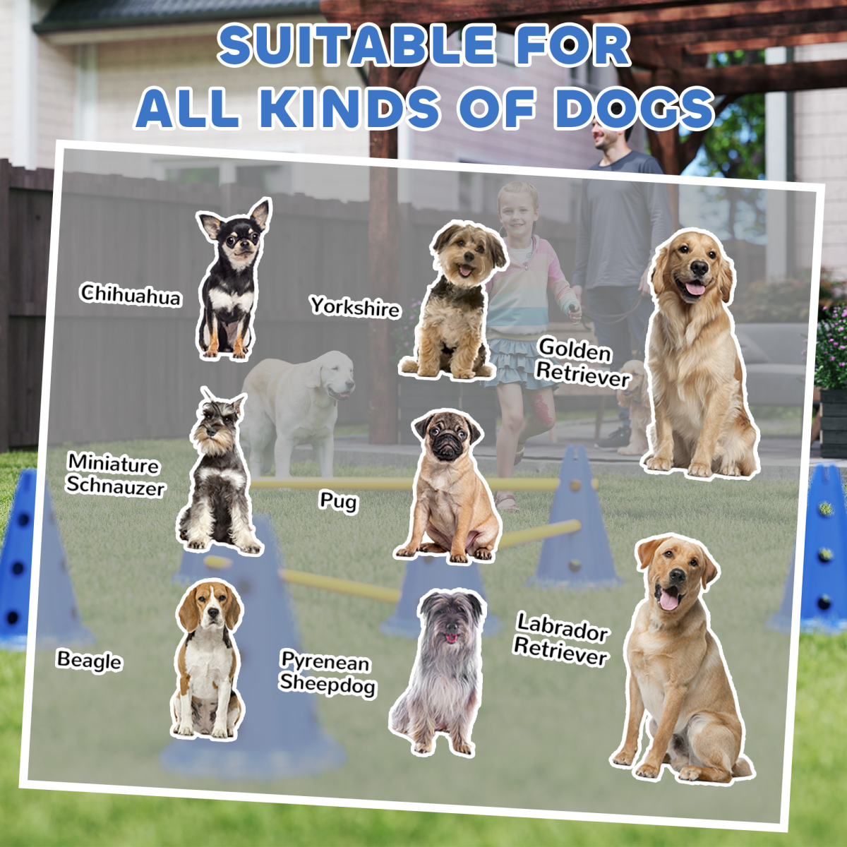 Dog Agility Equipment Set of Eight Cones