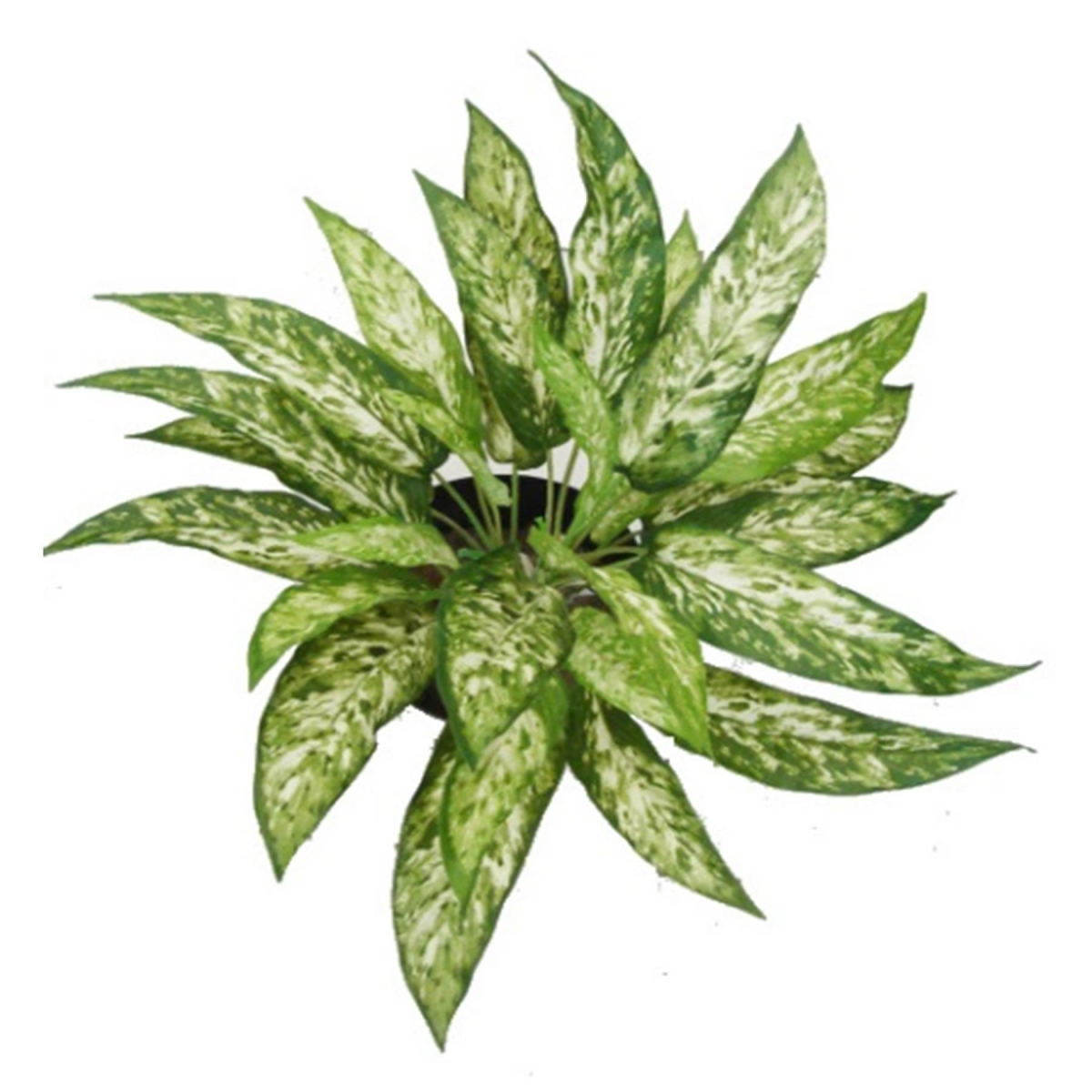 Pack of 6 x 45cm Fire Retardant Artificial Aglaonema Bush