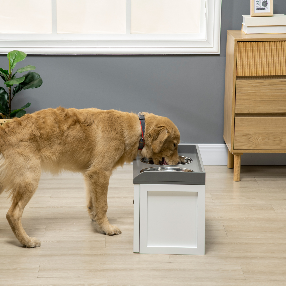 Elevated Dog Bowls w/ 21L Storage Drawer for Large Dogs and Cats - White