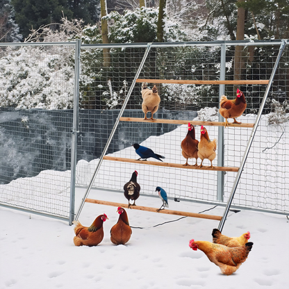 104*143cm  Outdoor chicken perch