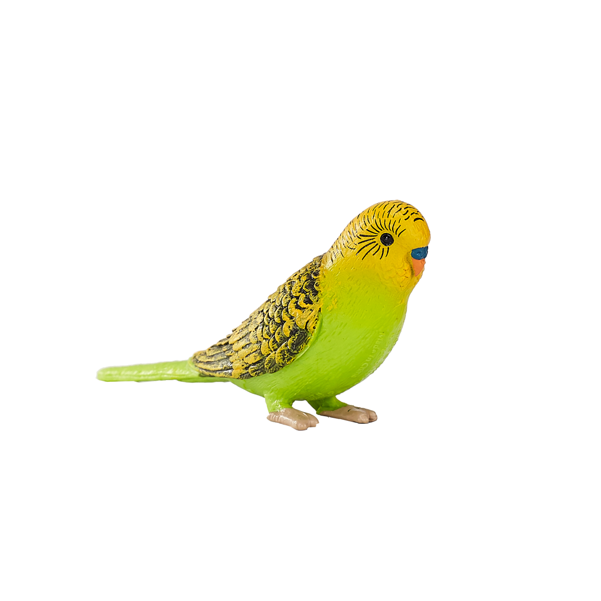 Green Budgerigar Toy  Realistic Exotic Bird Figurine