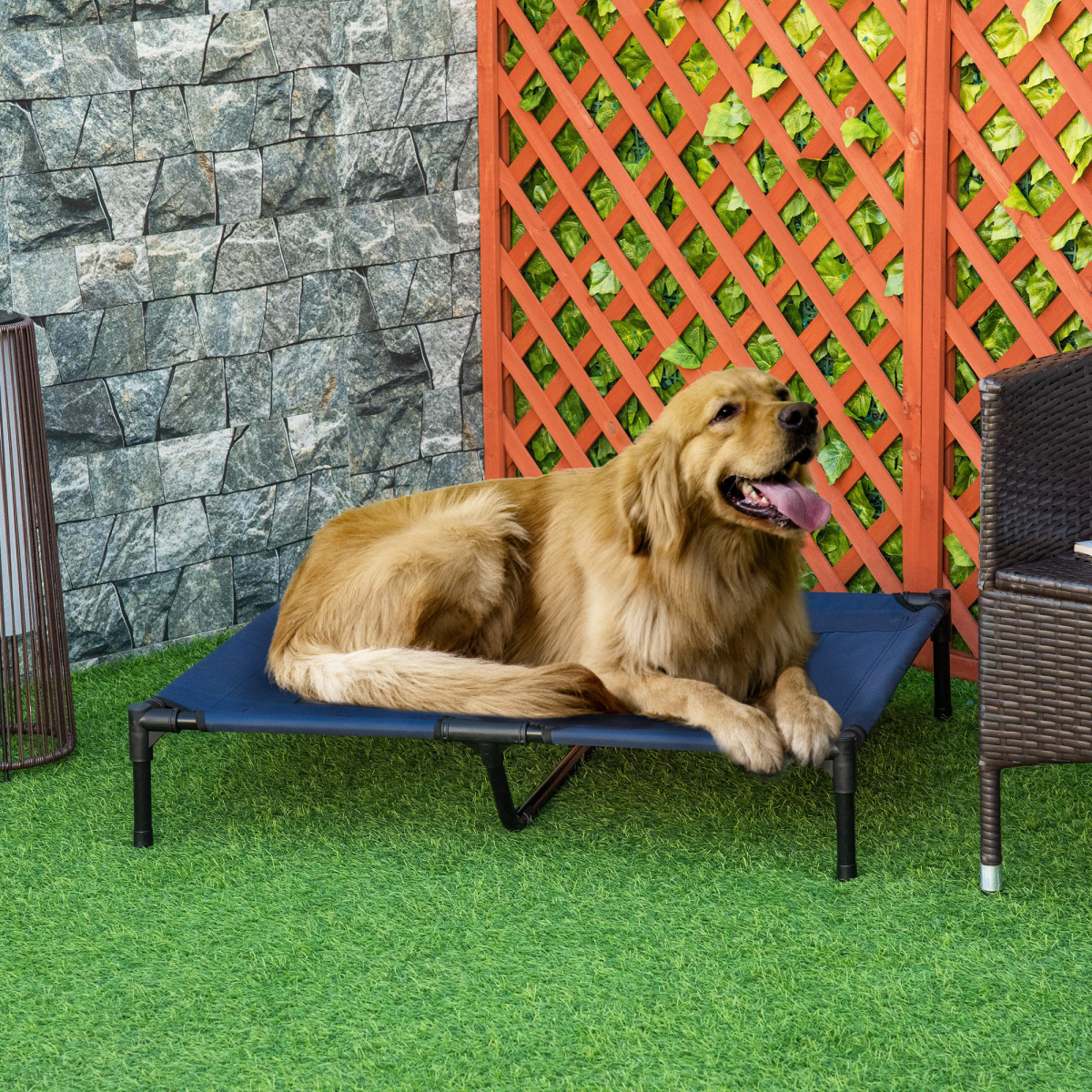 Pet Bed Raised Cot Dog Cat Elevated Puppy Hammock Camping Portable Waterproof