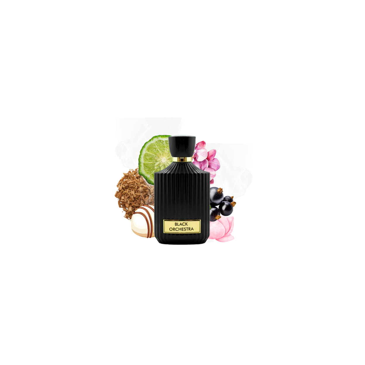 Black Orchestra (100ml)