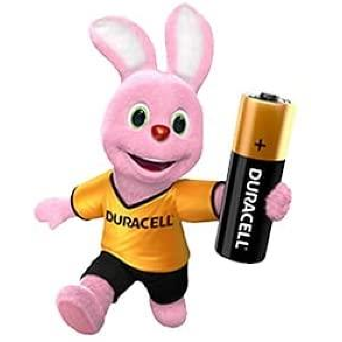 DURACELL N-LR1 E90 DURACELL 2 PACK Box of 10
