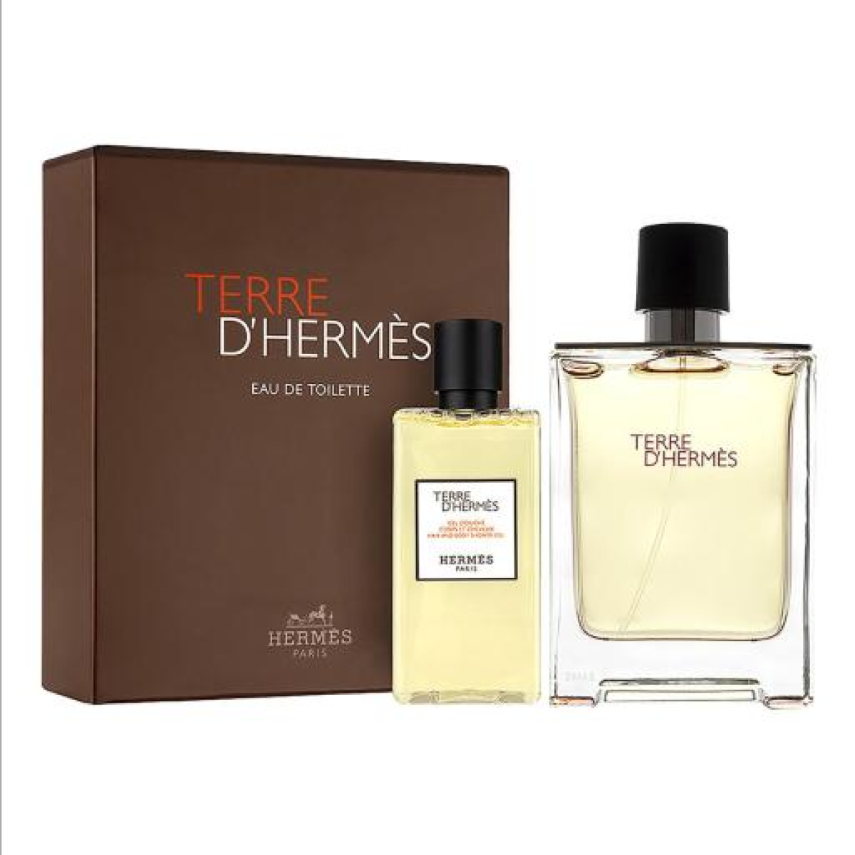 Hermès Terre dHermès Gift Set (Eau De Toilette 100ml  Shower Gel 80ml)