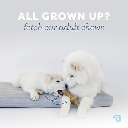 Benebone Puppy Indestructible Wishbone Dog Chew Toy for Aggressive Chewers, Long Lasting Tough Teething Boredom Breaker for Puppies, Real Bacon Flavour, For Small Dogs, Made in the USA