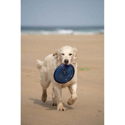 Petface Toyz Rubber Frisbee Dog Toy - Colour May Vary