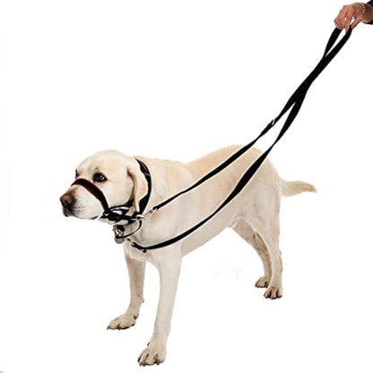 YankMooM Dog Training Lead Leash,6.9FT Double Ended Dog Lead for Training Walking Running Multi-Function Dog Lead Rope(Black)