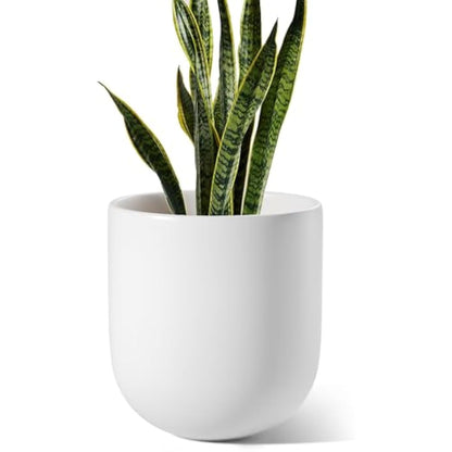 LE TAUCI 25 cm Plant Pot, Ceramic Pots for Plants with Drainage Holes and Rubber Plug, Plant Pots Indoor Outdoor for Home Garden Patio Office, Cylinder Flower Pot, White