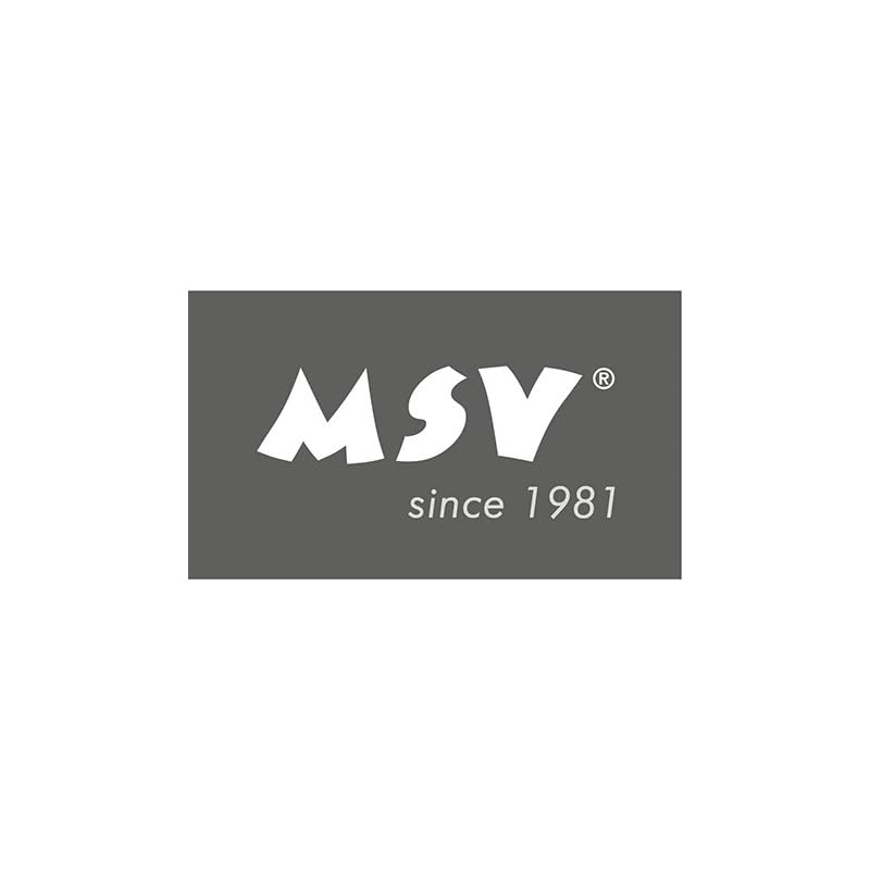 MSV Toilet Brush, Silver, Diameter 9.5 x 37