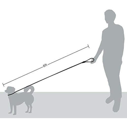 Friends Forever Extremely Durable Dog Rope Leash, Premium Quality Training Slip Lead, Reflective, Thick Heavy Duty, Sturdy, No Pull, Comfortable For The Strong Large Medium Small Pets 6 feet, Green