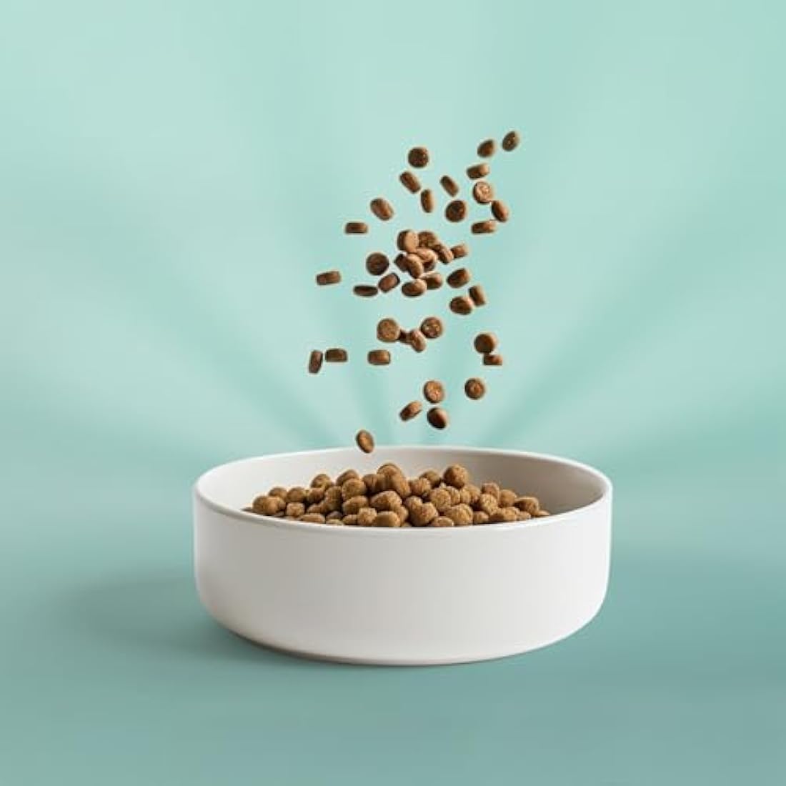 OMNI Hypoallergenic Dog Food 10kg - Protein-Rich Dry Kibble, Made in the UK with Natural Ingredients, Backed by Vets, Supported By Science, Dragons’ Den Winners