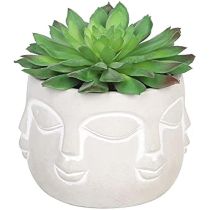 Sleepdown Halo Green Artificial Faux Plant Succulent Faces Pot for Home Office Bathroom Decor Indoor Decoration Aesthetics, Small
