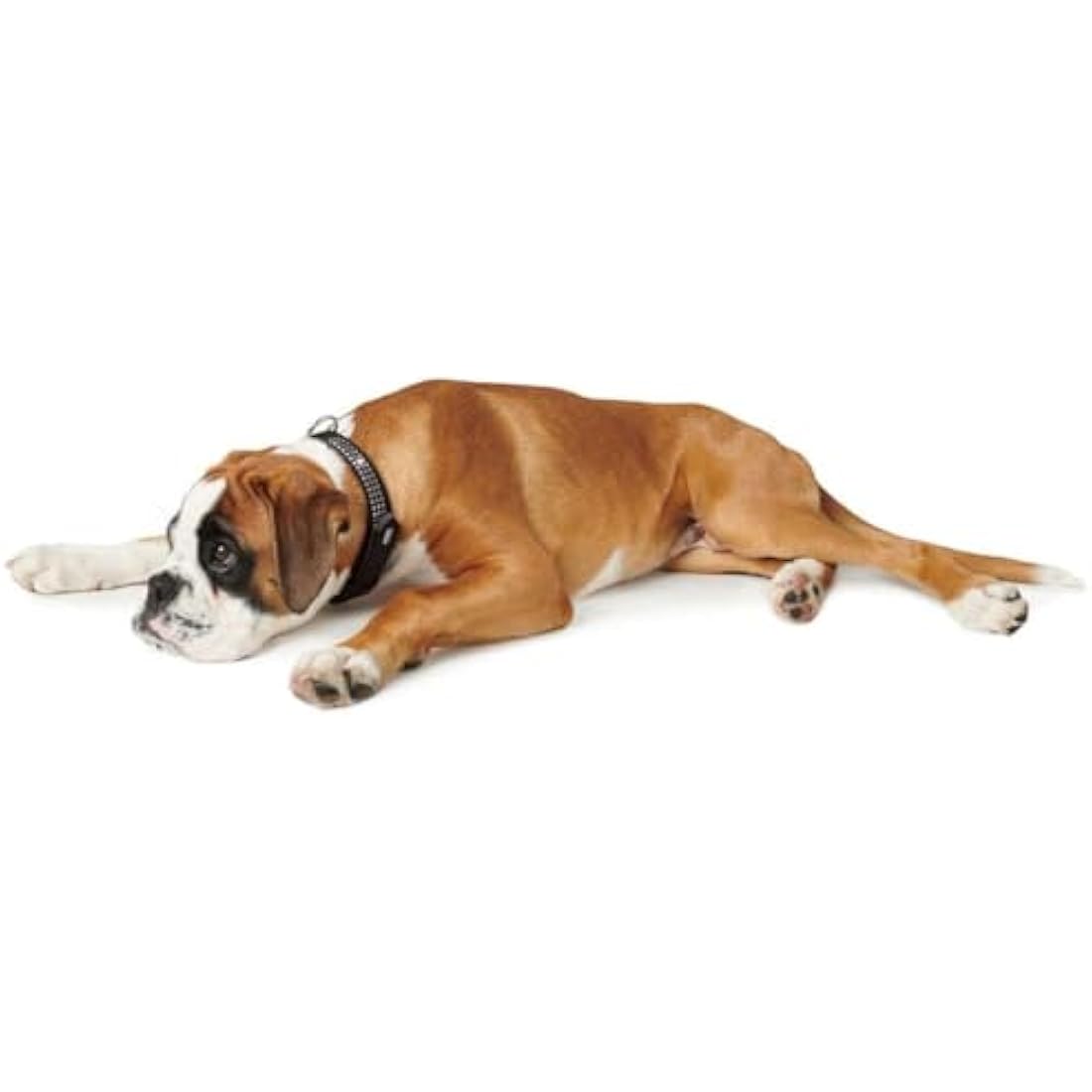 HUNTER Softie Deluxe Collar, X-Large, Black