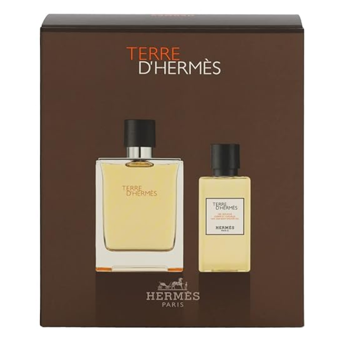 Hermès Terre dHermès Gift Set (Eau De Toilette 100ml  Shower Gel 80ml)