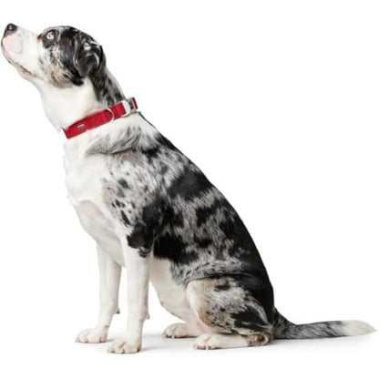 Hunter - Collar Softie Alu-Strong 45-65 cm red