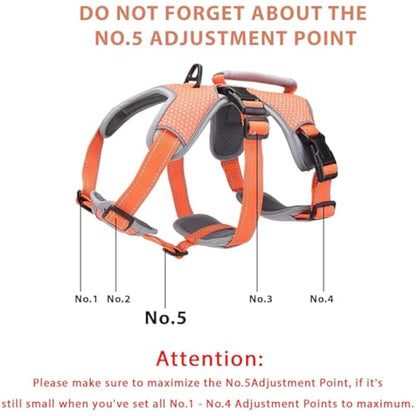 BELPRO Multi-Use Support Dog Harness, Escape Proof No Pull Reflective Adjustable Vest with Durable Handle, Dog Walking Harness for Big/Active Dogs (Orange, S)