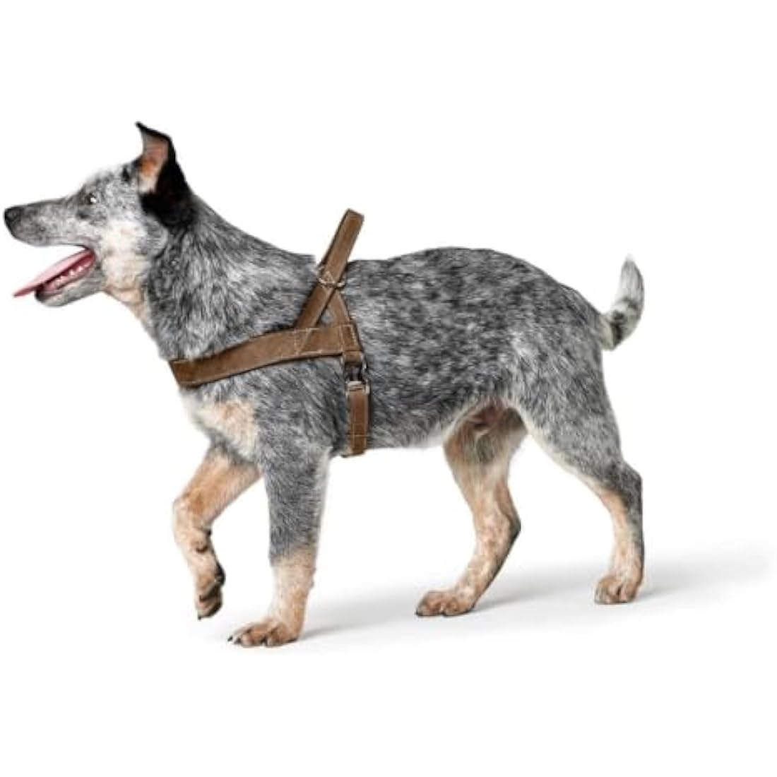 HUNTER Norwegian harness for Dogs Hunting, 55 x 71-97 cm, Brown