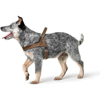 HUNTER Norwegian harness for Dogs Hunting, 60 x 77-110 cm, Brown
