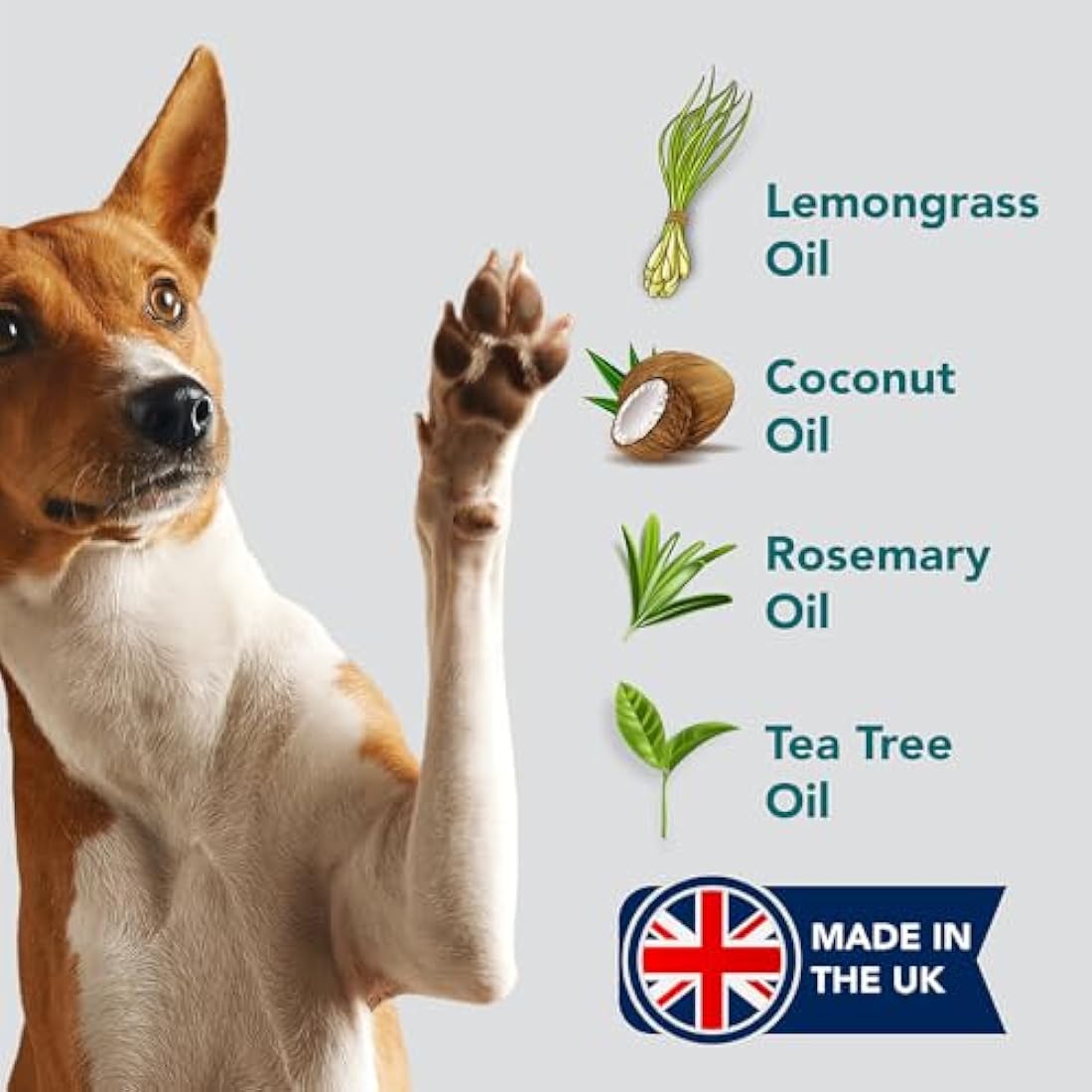 The Healthy Dog and Cat Co. – All Natural Flea Shampoo for Dogs & Cats – Gentle Wash with Quassia & Lemongrass – Safe, Vegan Formula for Itchy Skin – Dog & Cat Shampoo – Made in UK