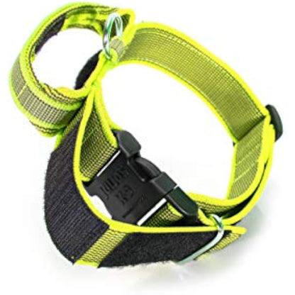 Julius-K9 Color and Gray Collar with Handle and Interchangeable Patch, 50 mm (49-70 cm), Neon-Gray